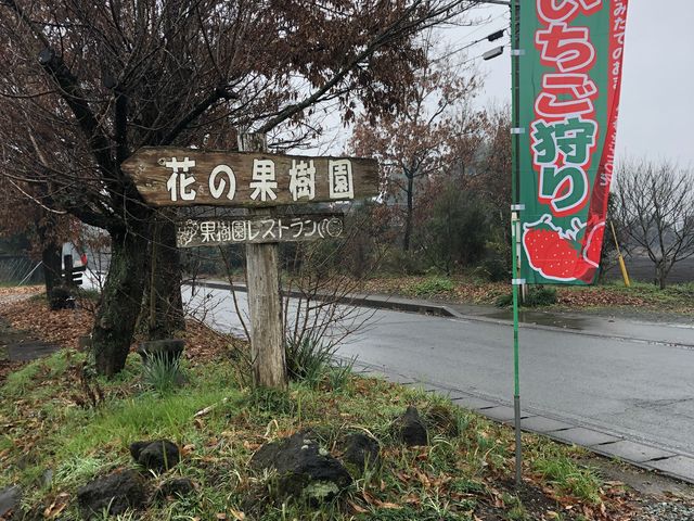 �������̂̂ڂ肪�ڈ�ɂȂ�܂�_���i�_��