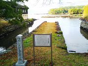 �˂�����񂳂�̑呺�˂��D���Ղ̓��e�ʐ^1