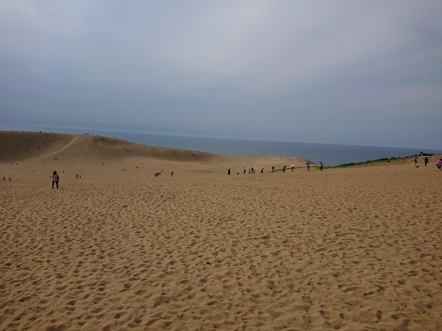 ���捻�u�B�~���̂��y���������ł��B_���捻�u