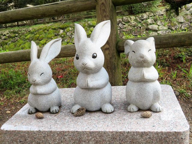 ��t�̔��e_�o�_��Ќ�{�a