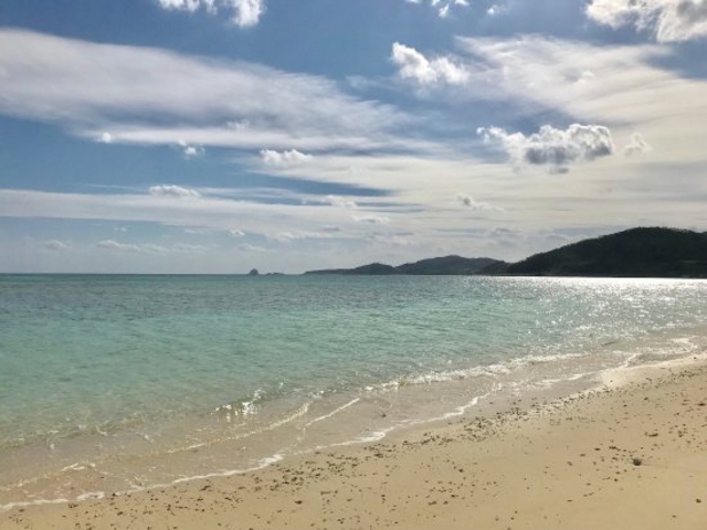 ����ł�_�C�[�t�r�[�`