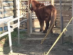 ڂ̓̉w ÁiO[vU炷܁jւ̓eʐ^1