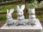 �Ԃ�܂���̏o�_��Ќ�{�a�̓��e�ʐ^2