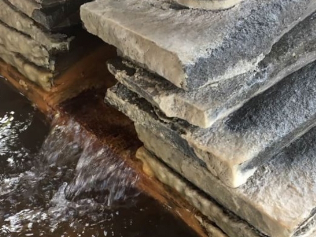 poporon̓ޗǔV @̓eʐ^2