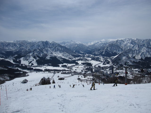 �Q�����f����̒��߂�_�⌴