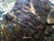 nukunuku����̔ѓ��_�Ђ̓��e�ʐ^7