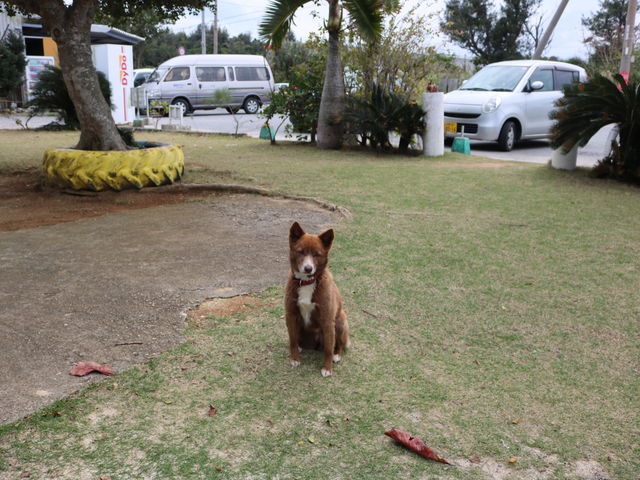 ŔHl񂿂񂪂܂B_ቖ