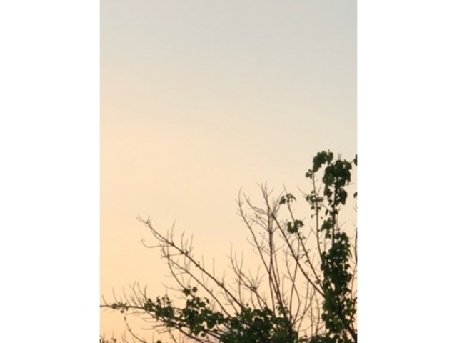 �L����_��q�R�W�����v���Z��