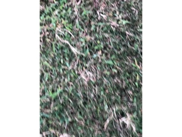 ���R_��������U���H