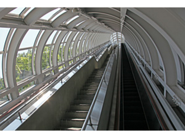 �h�[���^�G�X�J���[�^�[_��q�R�W�����v���Z��