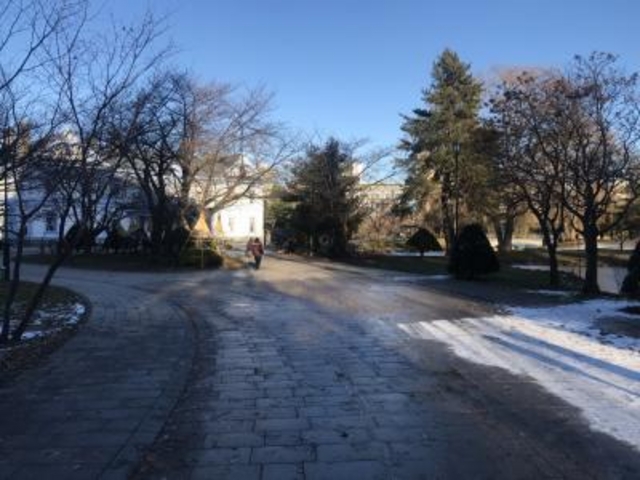 �܂�������Ȃ������P�Q����{_��������