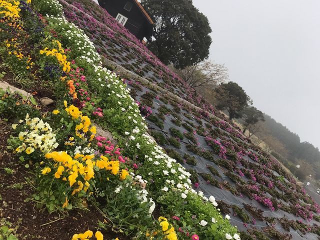 good place to go_������̋u