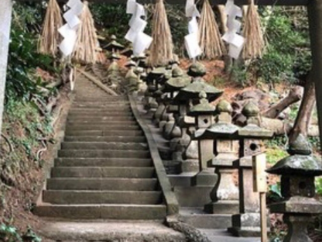 񂿂񂳂̐Ԑ_Ђ̓eʐ^1