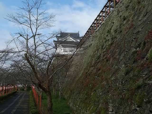 津山城 鶴山公園 アクセス 営業時間 料金情報 じゃらんnet