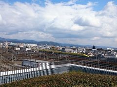 ЂE݂̋sSقւ̓eʐ^1