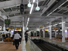 あおしさんの西武鉄道飯能駅の投稿写真1
