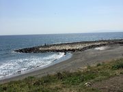 �k�b�L�[����̊�����s�ό��ē����̓��e�ʐ^2