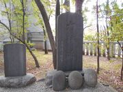 �g�V���[����̐[��͎��̔�̓��e�ʐ^1