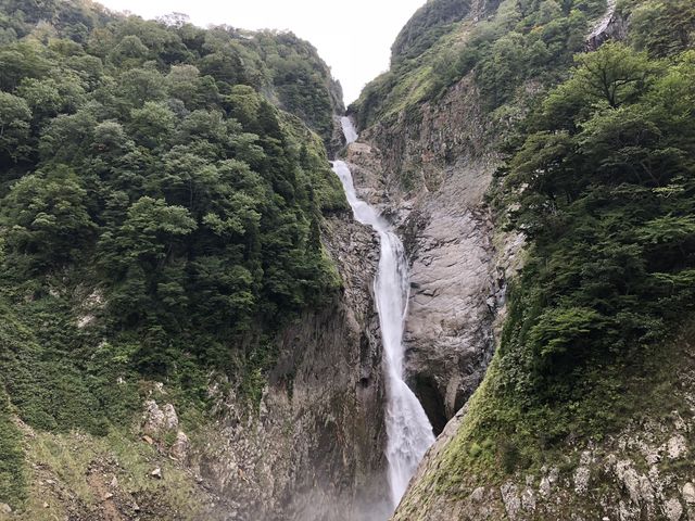 �ʐ^�ł͓`���Ȃ�_�̖���