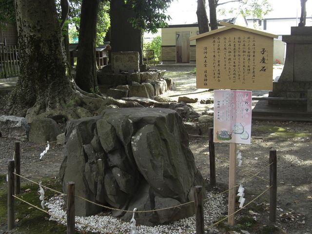 ߂ڂڂ̐FR{@g_Ђ̓eʐ^2