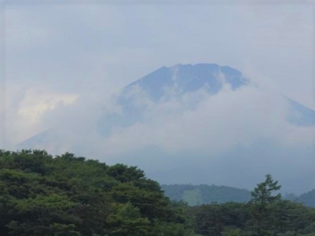 �x�m�R���ԋ߂Ɋ����Ȃ���_�f�����������i�����ρj