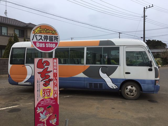 䕃n�E�X�܂ł̑��}�ԁ`�L�o�X�H_�[��_��