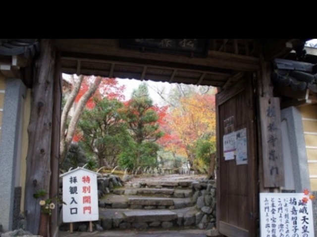 �h�ю�_�h�ю�