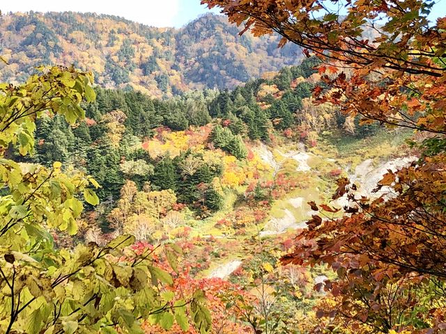 JgQ̏@؎RE@؉oR̓eʐ^1