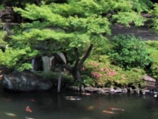 ���F��_���F��