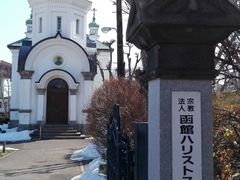 �Q�P���I���N����̔��كn���X�g�X������ւ̓��e�ʐ^1