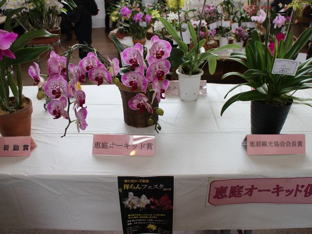 �����t�F�X�^�J�Ò�_�b��V�F�A�T�C�N�����ɂ���