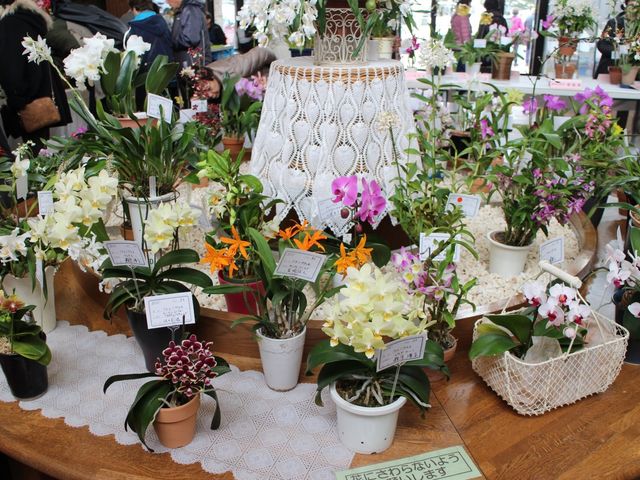 �����ȃ���_�b��V�F�A�T�C�N�����ɂ���