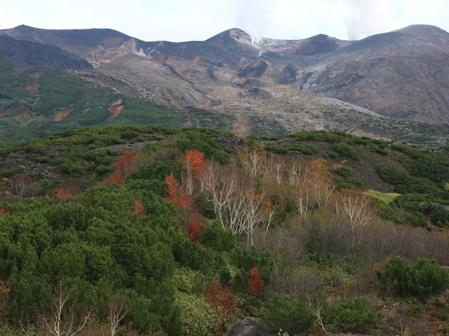 �g�t�̏\���x�B_�\���x