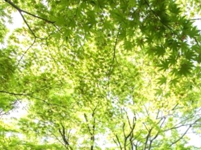 ���݂����������뉀_���F��