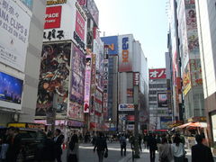 ݂΂񂳂̏Htւ̓eʐ^1