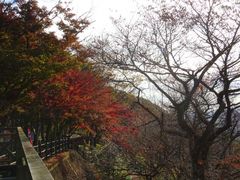 pon񂳂̑R̍gtւ̓eʐ^1