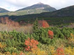 ��������񂳂�̔��l�x�ւ̓��e�ʐ^1