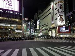 Ȃ̏aJwOXNu_ւ̓eʐ^1