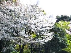 炢̓{뉀izej[I[^jjւ̓eʐ^1