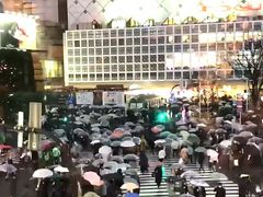 炢̏aJwOXNu_ւ̓eʐ^1