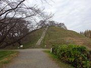 pon񂳂̍ʌÕQEܕyL̋u̓eʐ^2