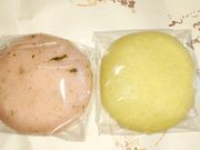 ܂肳̍؉Ԃ̗̓eʐ^1