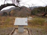 �g�V���[����̗^�Ӗ쏻�q�̔�̓��e�ʐ^1