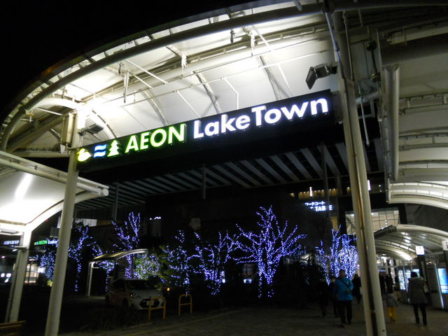 CICN^Emori_CICN^Emori