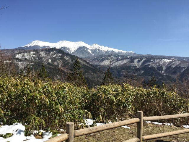 �W�]���[�̂�⍶�����B�e�B_�啽�W�]��