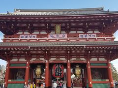 ringoringo̕󑠖ւ̓eʐ^1