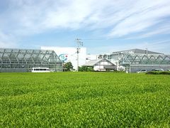 킩ԁ[̃OsAqVւ̓eʐ^1