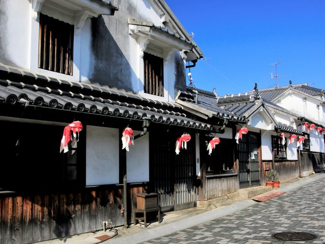 �����ɒ݂邳�ꂽ�u�������傤����v_���䔒�ǂ̒�����