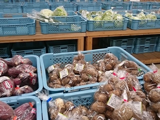 �n���̖�؂�̔�_���̉w ������