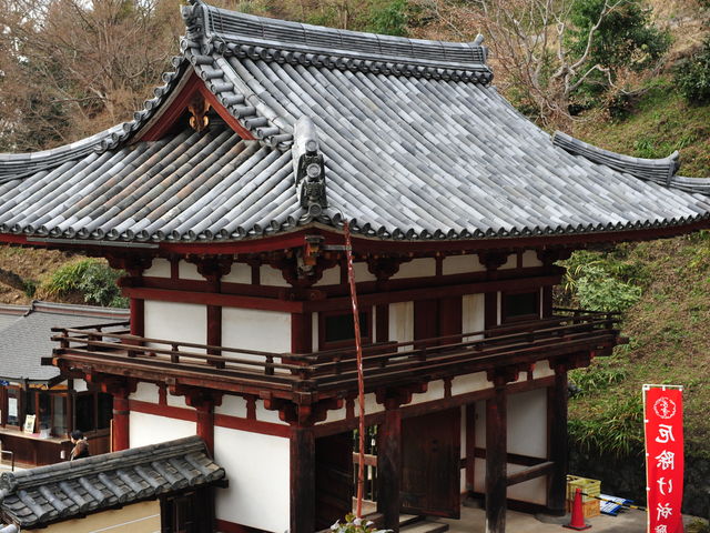 �ォ�猩���m����_�����m����